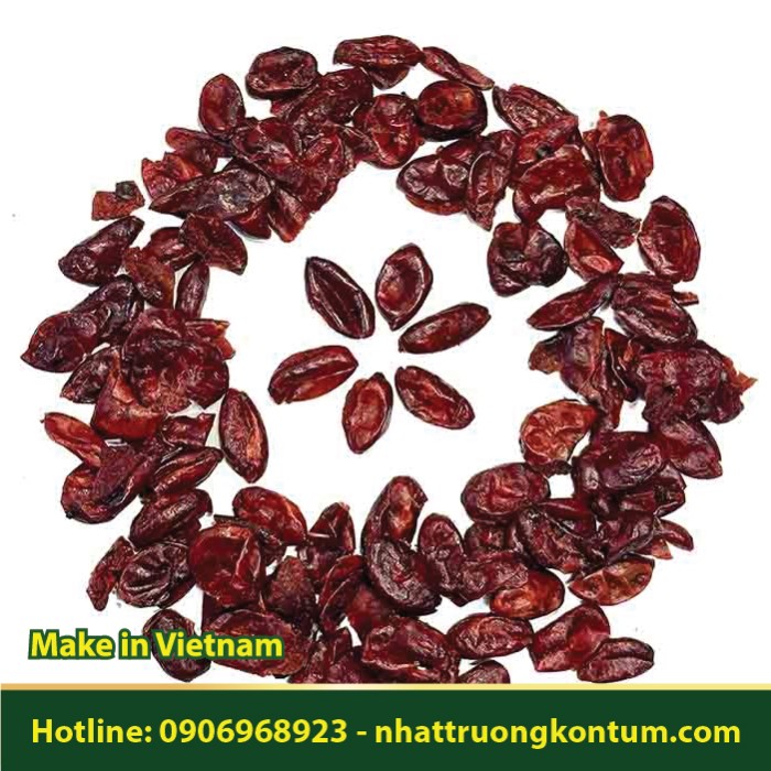 Sơn Thù Du - Cornus officinalis  - Túi 1kg