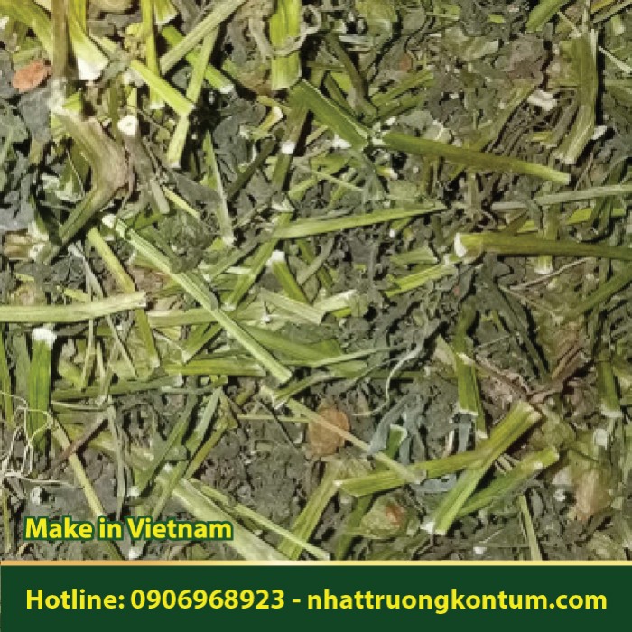 Cây Tầm Bóp Khô - Physalis angulata - Túi 1kg