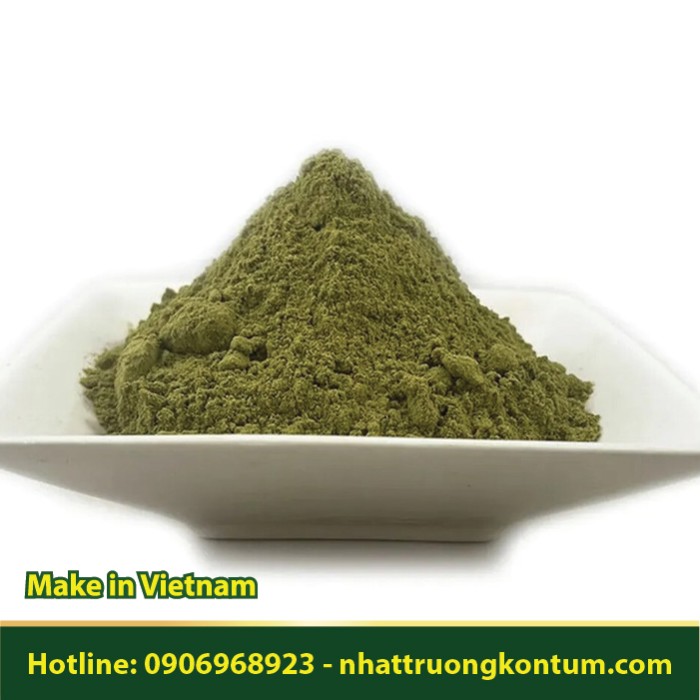 Bột Cây Tầm Bóp Khô - Physalis angulata Powder - Túi 1kg