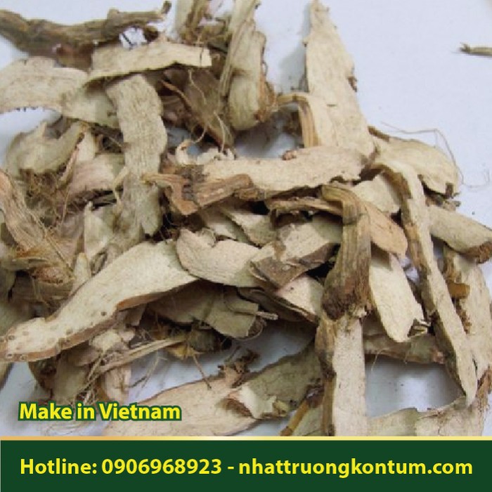 Thạch Xương Bồ Khô Nhật Trường Kon Tum - Acorus gramineus Dried Vietnam - Túi 1kg