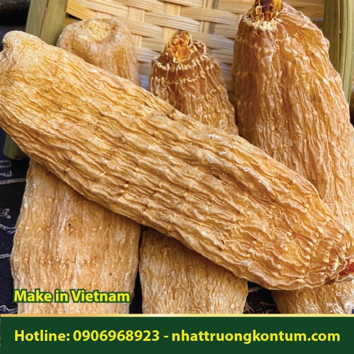 Thiên Ma Khô - Gastrodia elata Blume - Túi 1kg