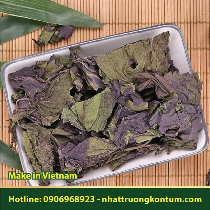 Tía Tô Khô Việt Nam - Perilla frutescens Dried Vietnam - Túi 1kg