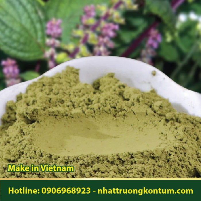 Bột Tía Tô Việt Nam - Perilla frutescens Powder Vietnam - Túi 1kg