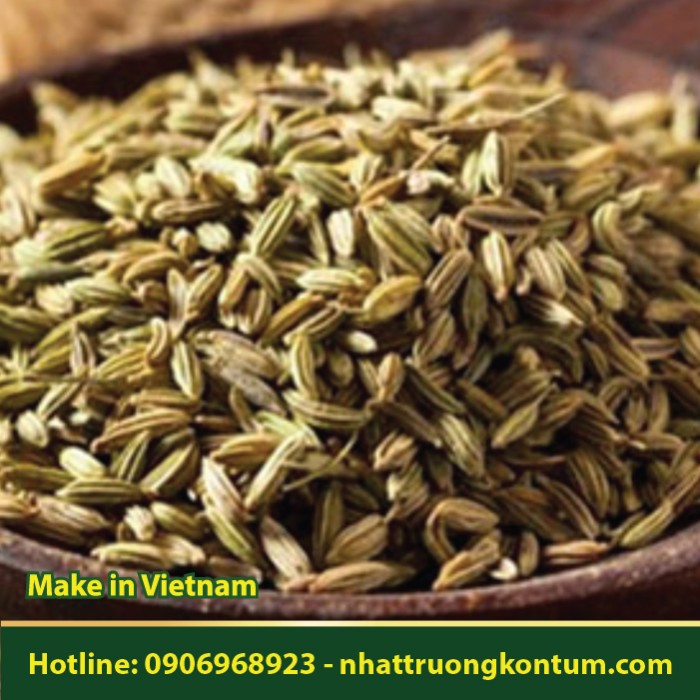 Tiểu Hồi - Foeniculum vulgare Mille - Túi 1kg