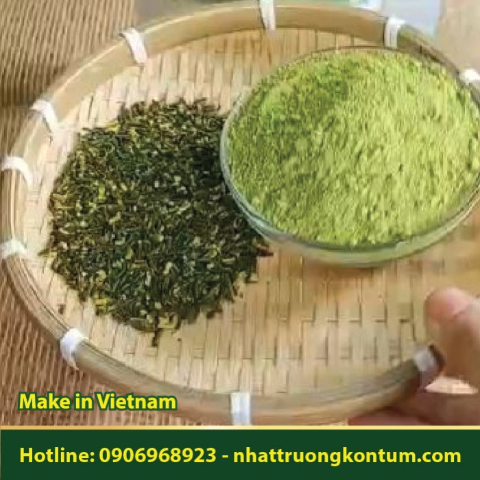 Bột Tim Sen - Bột Tâm Sen - Embryo Nelumbinis - Plumula Nelumbinis Powder Vietnam - Túi 1kg