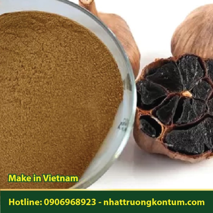 Bột Tỏi Đen - Allium sativum Powder Vietnam - Túi 0.5kg