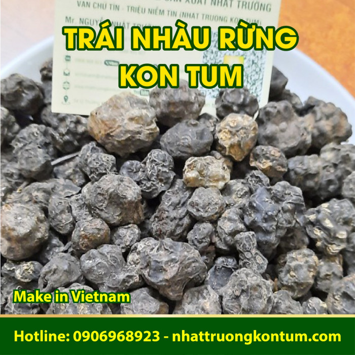 Trái Nhàu Rừng - Nhàu Núi Kon Tum - Morinda citrifolia Vietnam - Túi 1kg