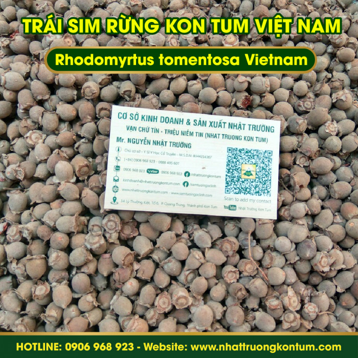 Trái Sim Rừng Khô Nhật Trường Kon Tum - Rhodomyrtus tomentosa - Túi 1kg