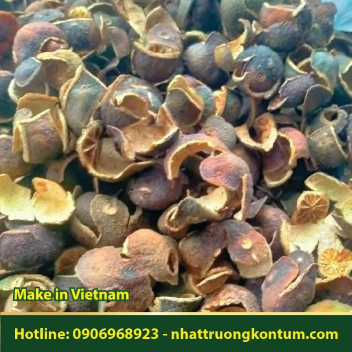 Trần Bì Khô (Vỏ Dầy) - Pericarpium Citri reticulatae Dried Vietnam - Túi 1kg