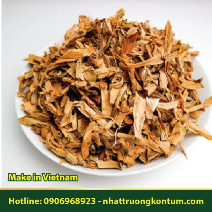 Trinh Nữ Hoàng Cung Việt Nam - Crinum latifolium Vietnam - Túi 1kg