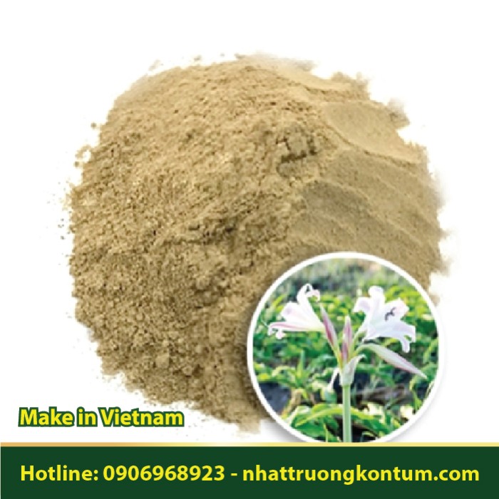 Bột Trinh Nữ Hoàng Cung Việt Nam - Crinum latifolium Powder Vietnam - Túi 1kg