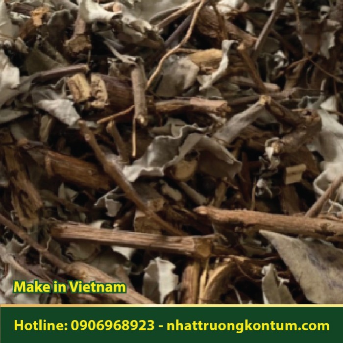 Cây Từ Bi - Blumea balsamifera - Túi 1kg