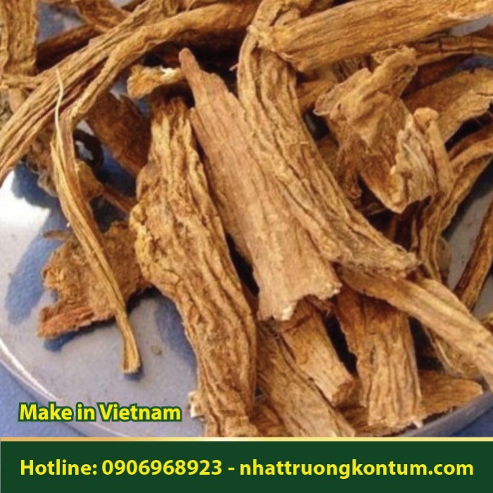 Tục Đoạn - Dipsacus japonicus - Túi 1kg
