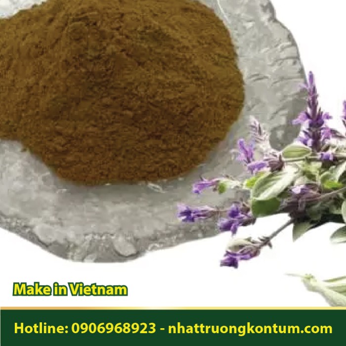 Bột Tục Đoạn - Dipsacus japonicus Powder - Túi 1kg