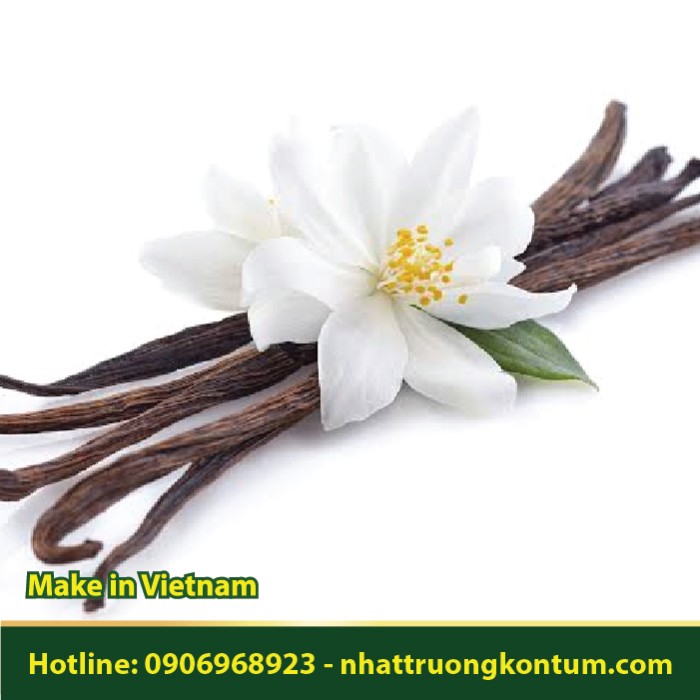 Vani - Vanilla - Vanilla planifolia - Túi 100g