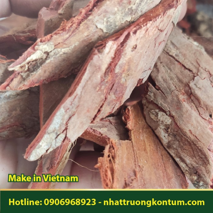 Vỏ Gạo Khô - Bombax ceiba - Túi 1kg