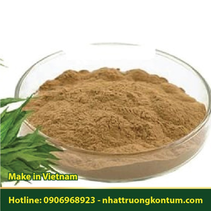 Bột Cây Xương Khỉ - Bìm Bịp Nhật Trường Kon Tum - Clinacanthus nutans Powder Vietnam - Túi 1kg