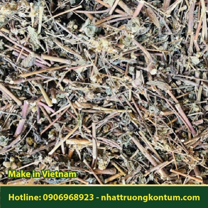Xuyến Chi Khô - Bidens pilosa - Túi 1kg
