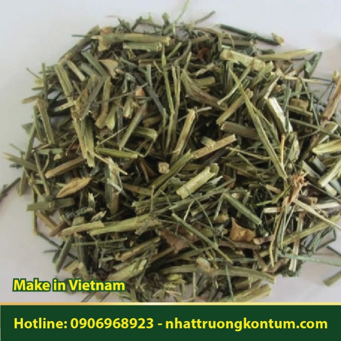 Xuyên Tâm Liên Việt Nam - Andrographis paniculata Dried Vietnam - Túi 1kg