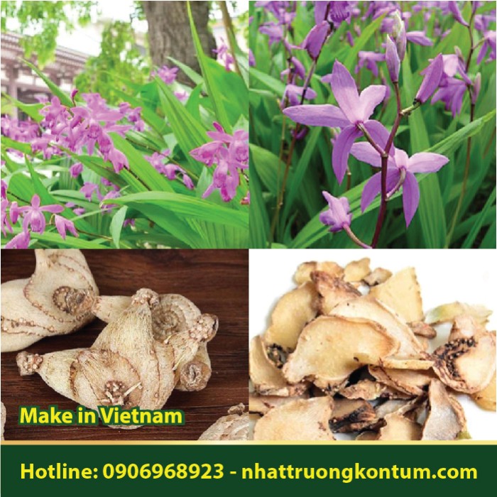 Bạch Cập - Bletilla striata - Túi 1kg