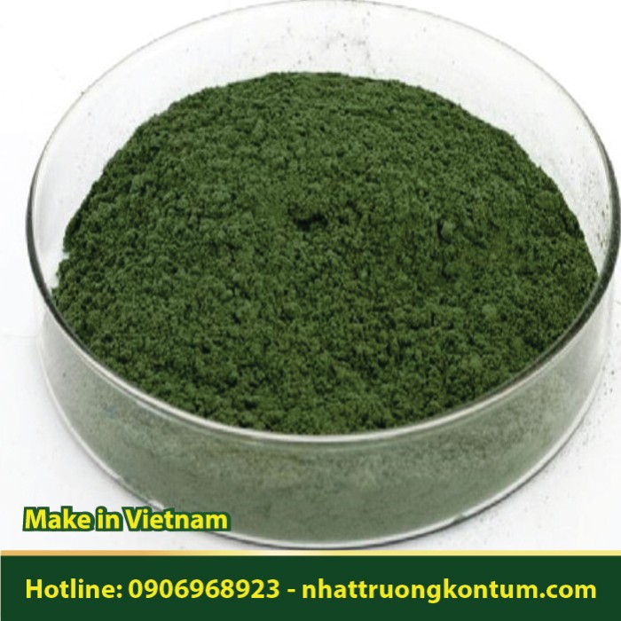 Bột Bạch Chỉ Nam - Millettia pulchra Powder - Túi 1kg