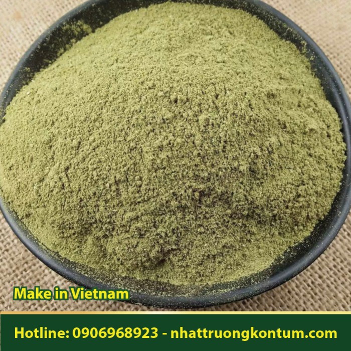 Bột Trắc Bách Diệp - Platycladus orientalis Powder - Túi 1kg