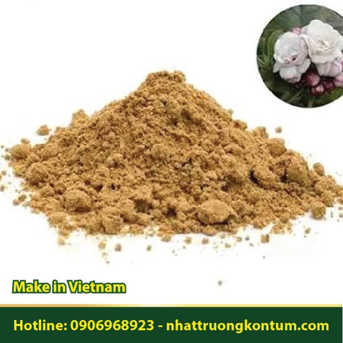 Bột Bạch Đồng Nữ - Clerodendrum chinense Powder - Túi 1kg