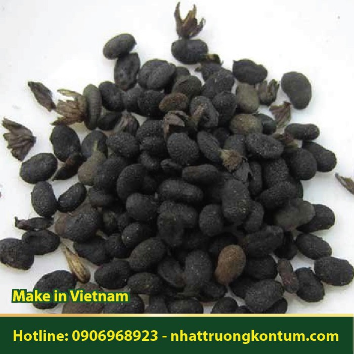 Bổ Cốt Chỉ - Psoralea corylifolia - Túi 1kg