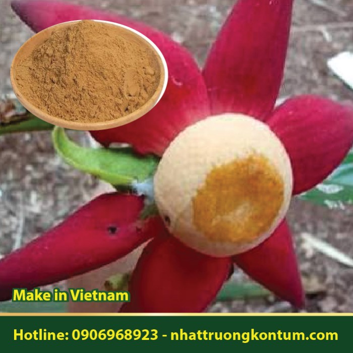 Bột Bù Dẻ Tía - Uvaria grandiflora Powder - Túi 1kg