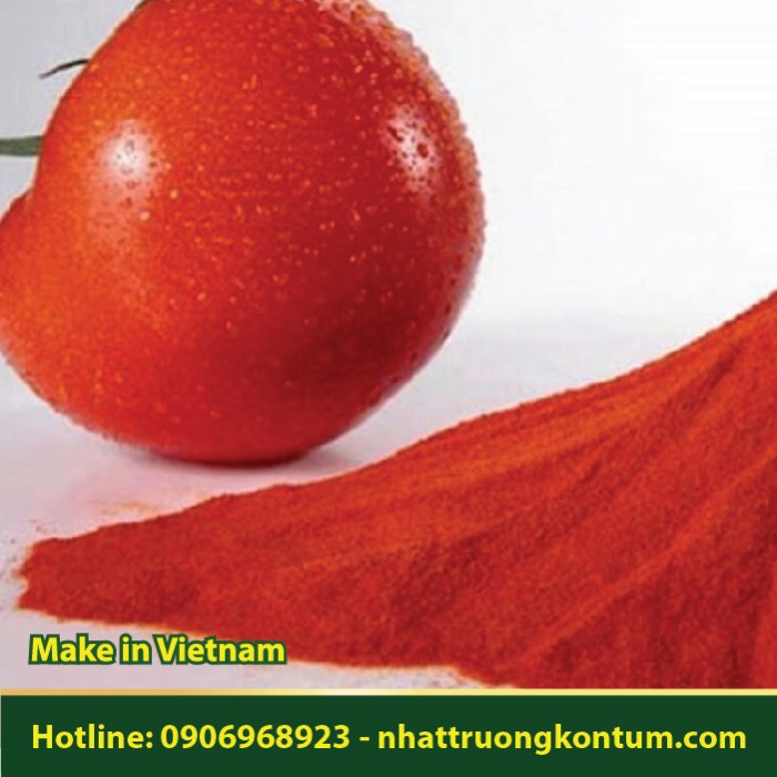 Bột Cà Chua - Solanum lycopersicum Powder - Túi 1kg