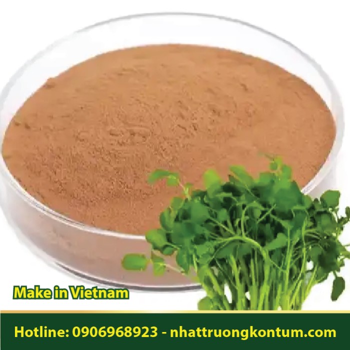 Bột Cải Xoong - Nasturtium officinale Powder - Túi 1kg