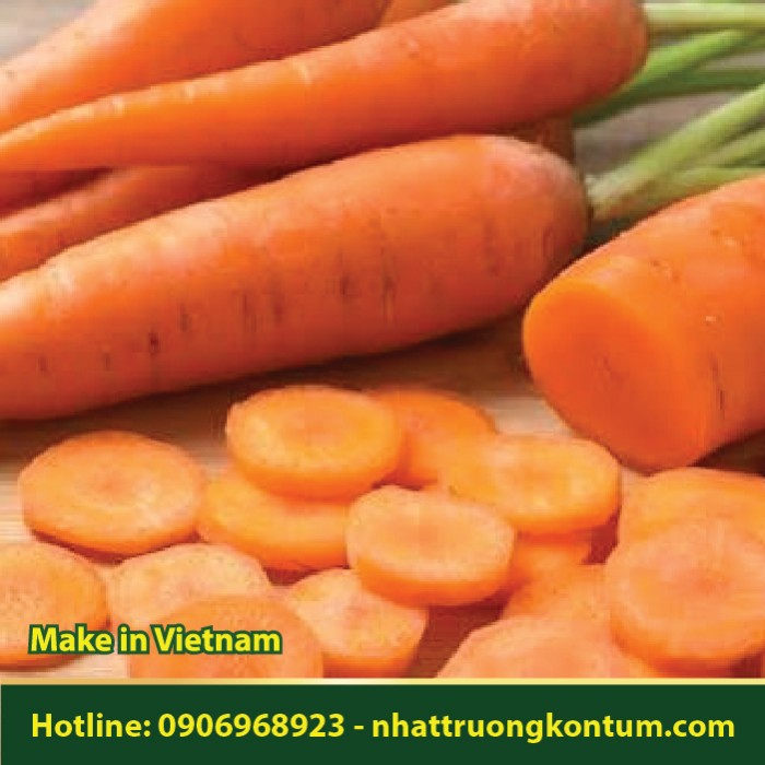 Cà rốt - Daucus carota - Túi 1kg