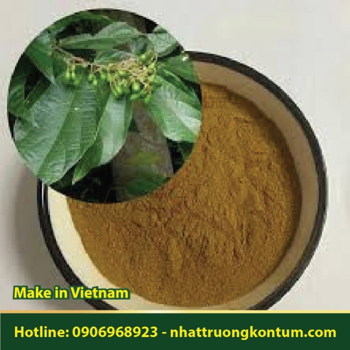 Bột Cây Cò Ke - Microcos paniculata Powder - Túi 1kg