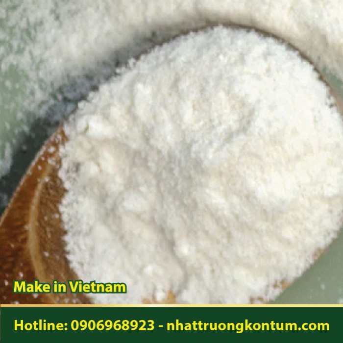 Bột Cây Dừa - Cocos nucifera Powder - Túi 1kg