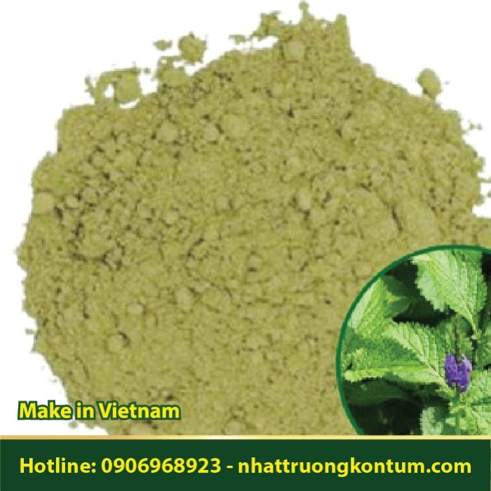 Bột Cây Đuôi Chuột - Stachytarpheta jamaicensis Powder - Túi 1kg