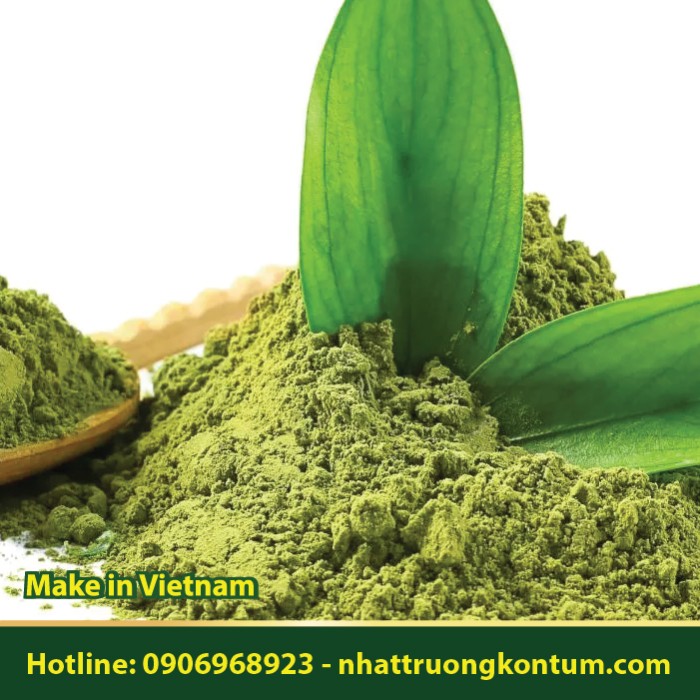 Bột Cây Insulin - Chamaecostus cuspidatus Powder - Túi 1kg