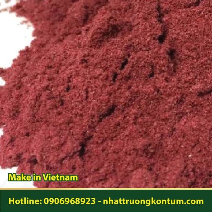 Bột Cây Mận Hậu - Prunus salicina Powder - Túi 1kg