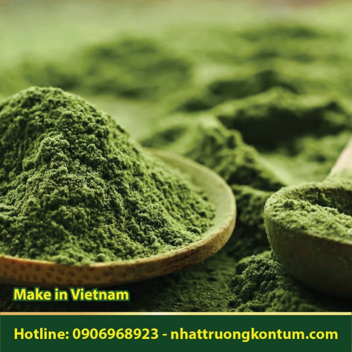 Bột Cây Tí Ngọ - Pentapetes phoenicea Powder - Túi 1kg