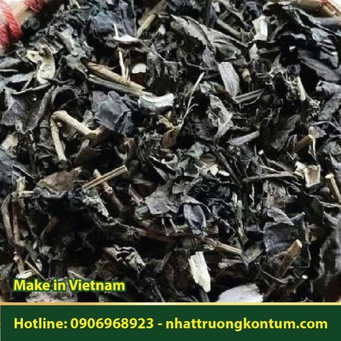 Chàm Mèo - Strobilanthes cusia - Túi 1kg