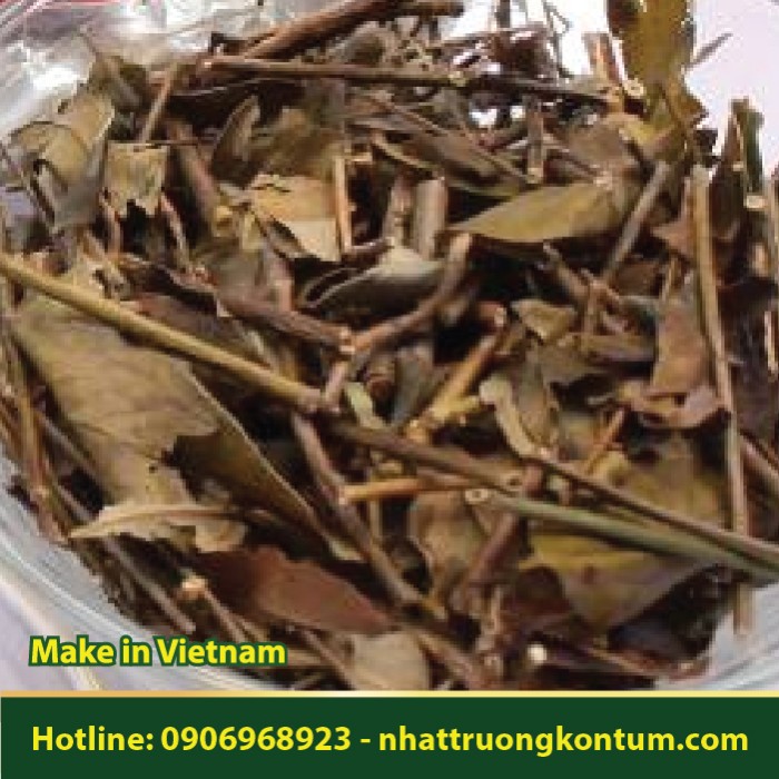 Chè Vằng Trâu - Jasminum subtriplinerve - Túi 1kg