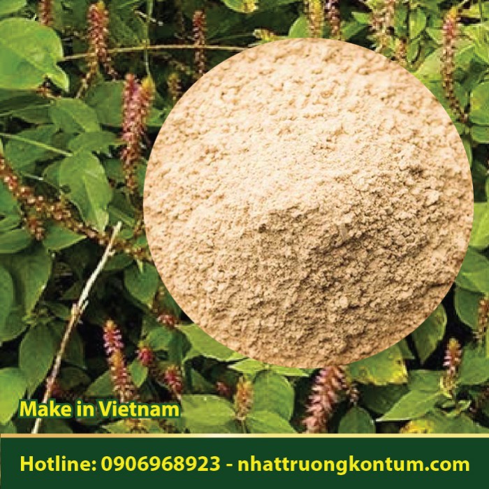 Bột Cỏ Xước - Ngưu Tất Nam - Achyranthes aspera Powder - Túi 1kg