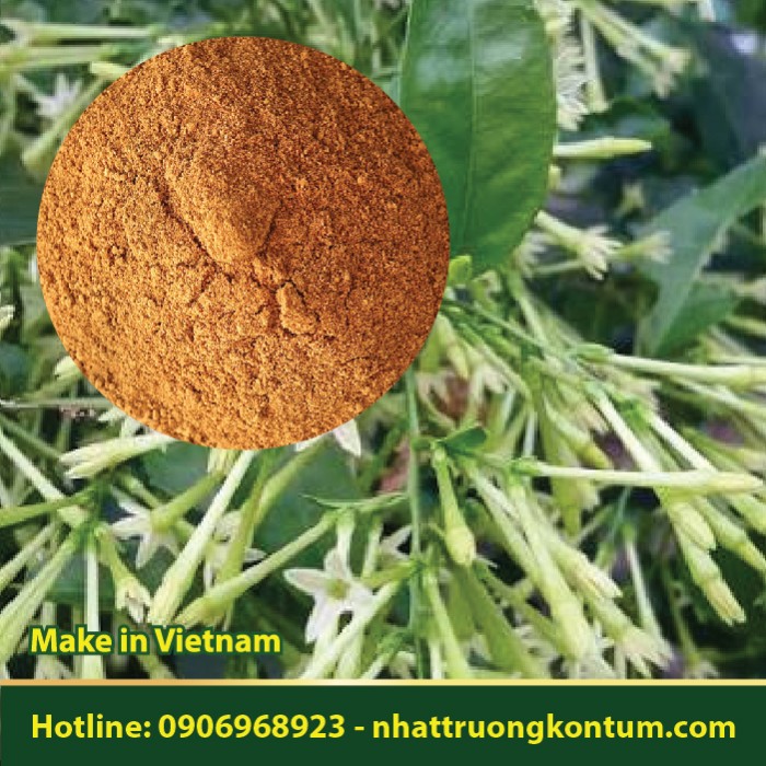 Bột Dạ Lý Hương - Cestrum nocturnum Powder - Túi 1kg