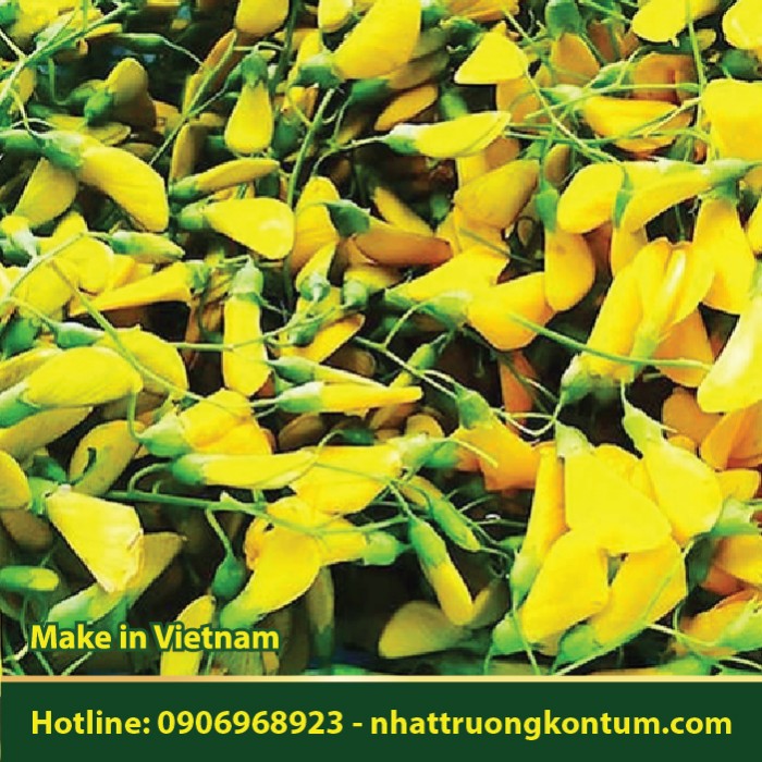 Cây Điên Điển - Sesbania sesban - Túi 1kg