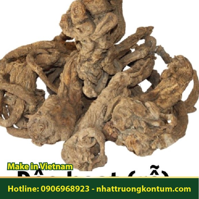 Độc Hoạt - Angelica pubescens - Túi 1kg