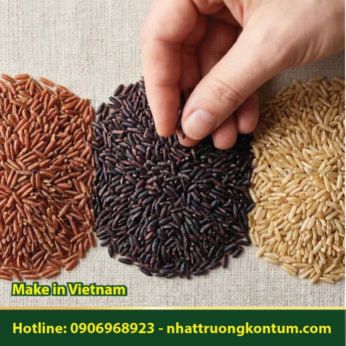 Gạo Lứt Đỏ - Oryza sativa - Red Rice - Túi 1kg