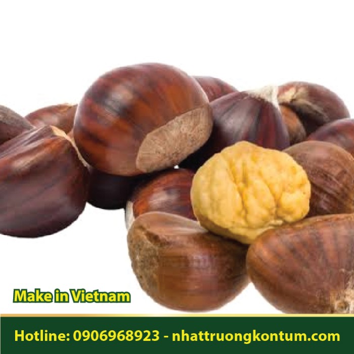 Hạt Dẻ - Castanea mollissima - Túi 1kg
