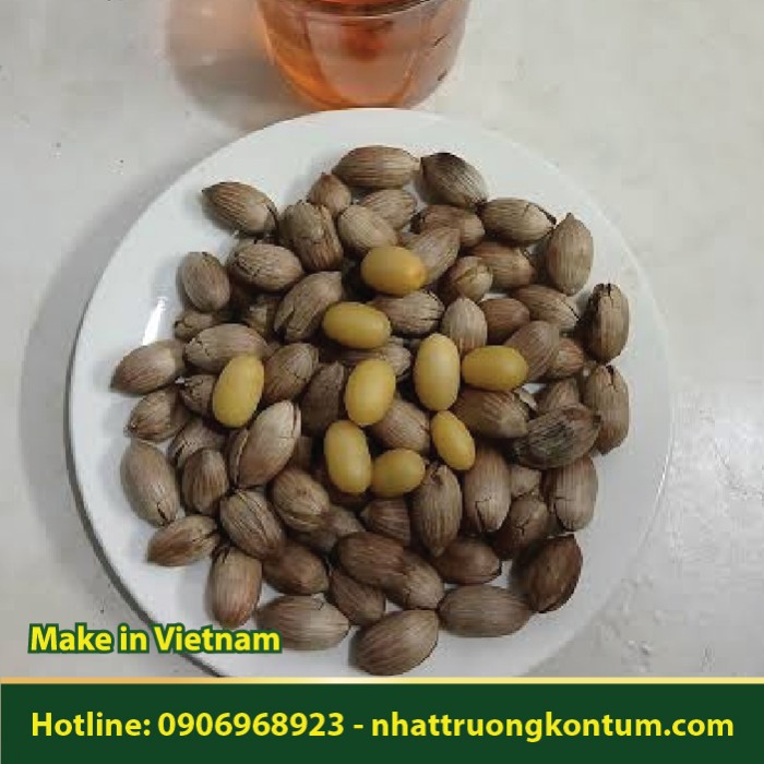 Hạt Dây Gắm - Gnetum montanum Seed - Túi 1kg