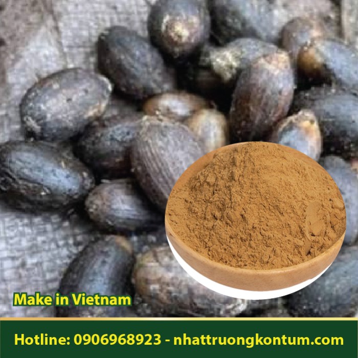 Bột Hạt Dây Gắm - Gnetum montanum Seed Powder - Túi 1kg