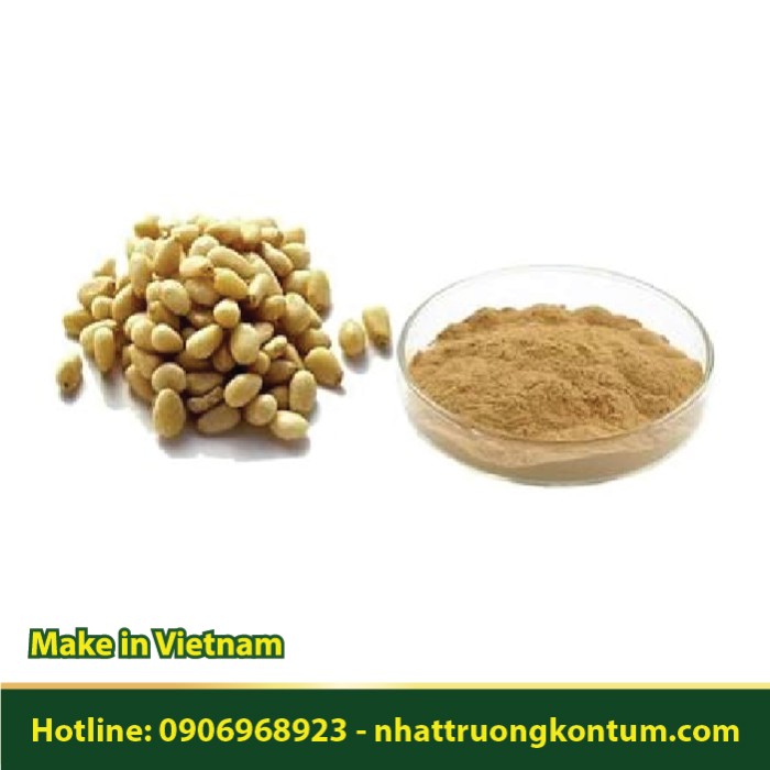 Bột Hạt Thông - Pinus koraiensis Powder - Túi 1kg