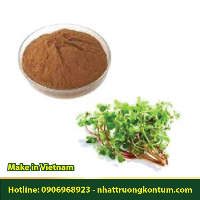 Bột Hoa Mười Giờ - Portulaca grandiflora Powder - Túi 1kg